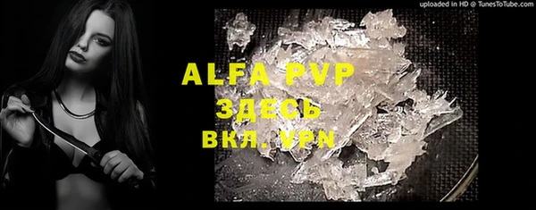 apvp Краснослободск