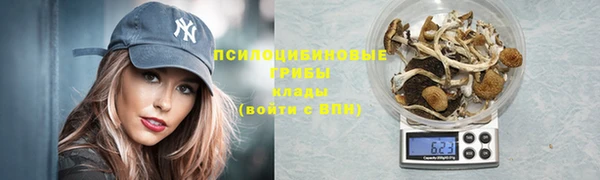 2c-b Куйбышев
