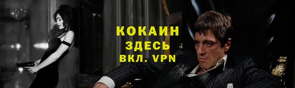 apvp Краснослободск