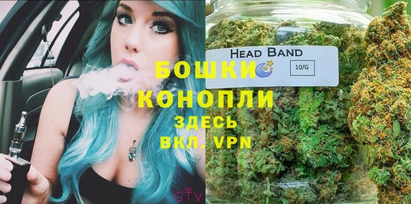 apvp Краснослободск