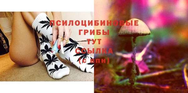 apvp Краснослободск