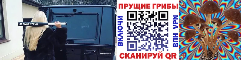 Псилоцибиновые грибы GOLDEN TEACHER  Лесной 