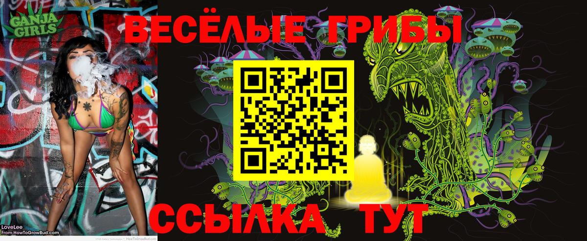 Псилоцибиновые грибы ЛСД Лесной