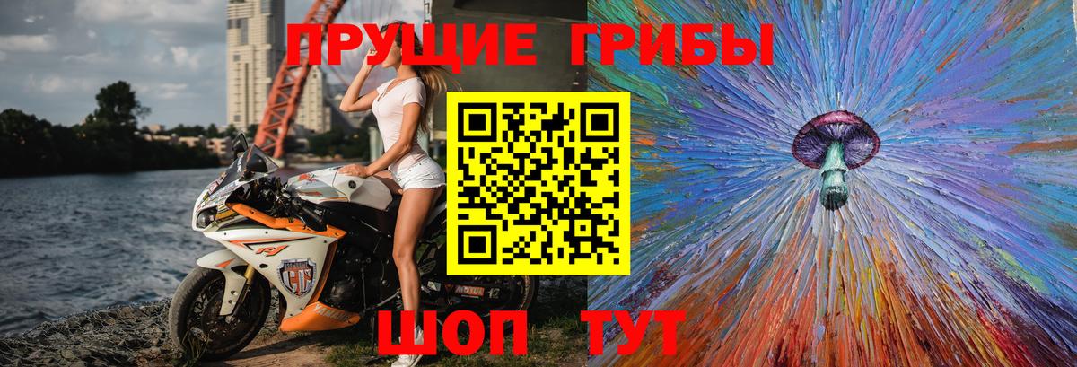 купить закладку  Вход с VPN  Галлюциногенные грибы мухоморы  Лесной  Галлюциногенные грибы прущие грибы 